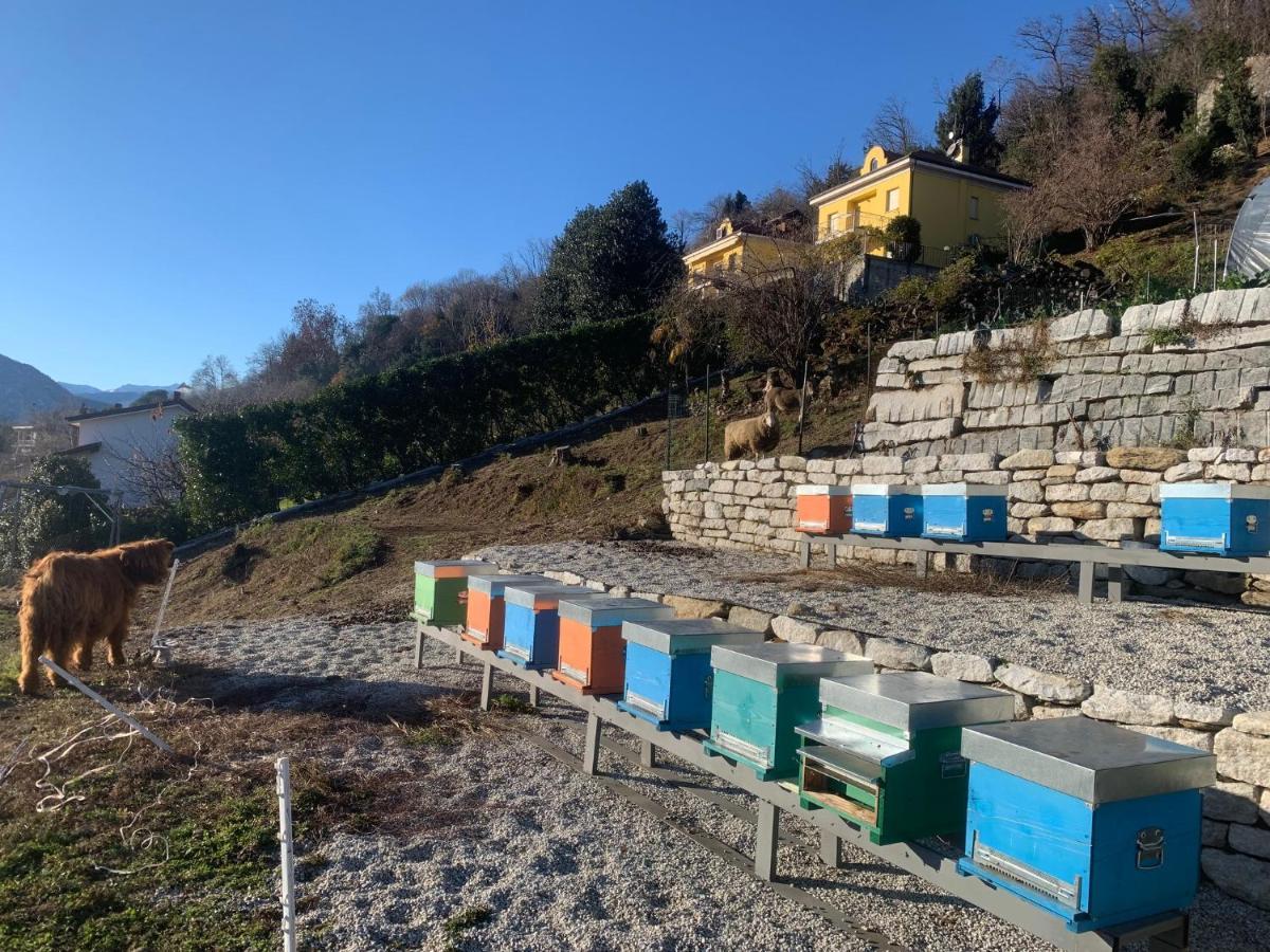 Sole Apartamento Verbania Exterior foto